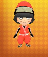 Ninja Outfit Example.png