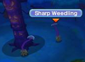 Sharp Weedling.png