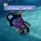 Undead Captain.png