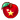 Star Apple