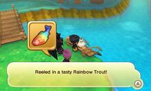 Rainbow trout spot.jpg
